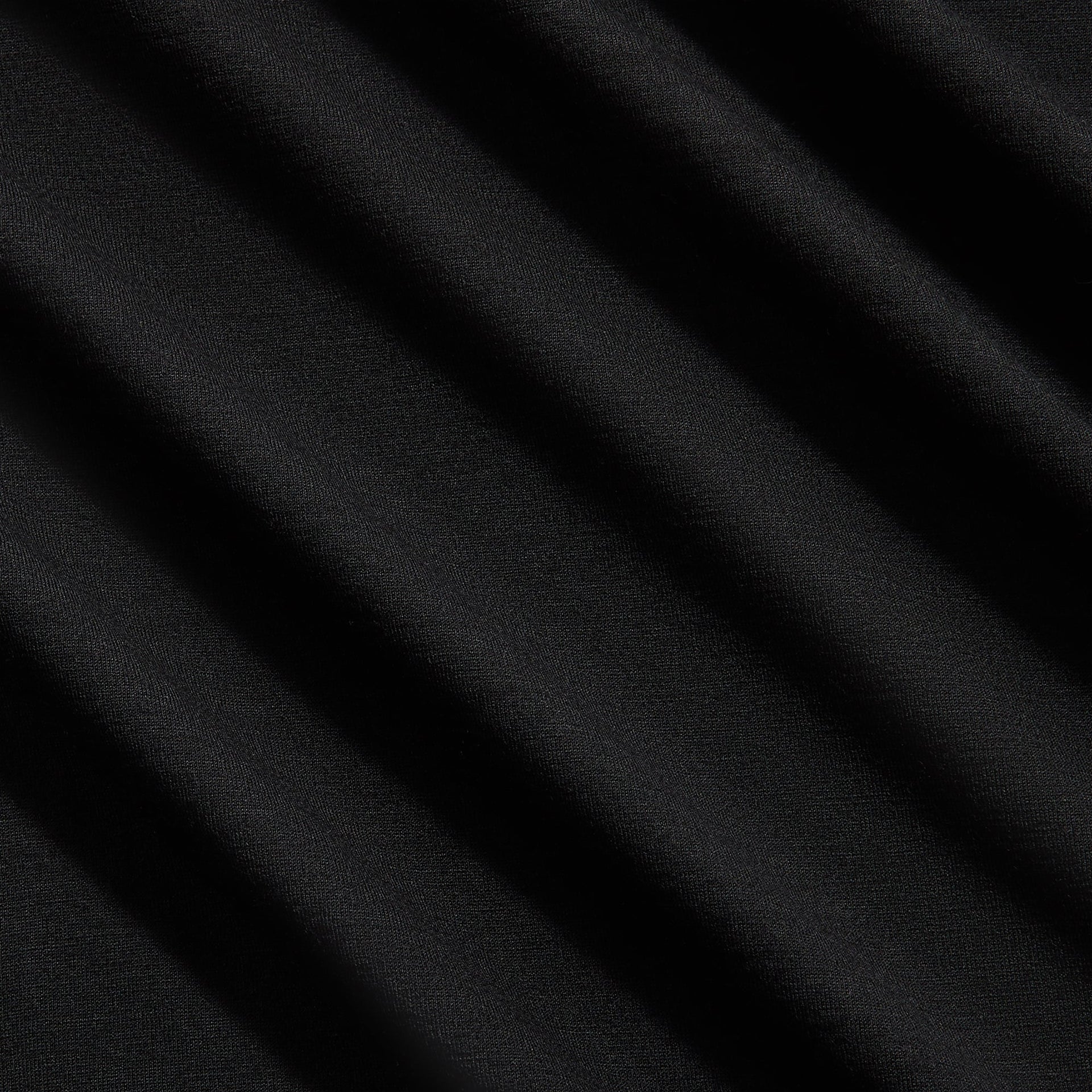 Auralee Super Soft Wool Jersey in Black