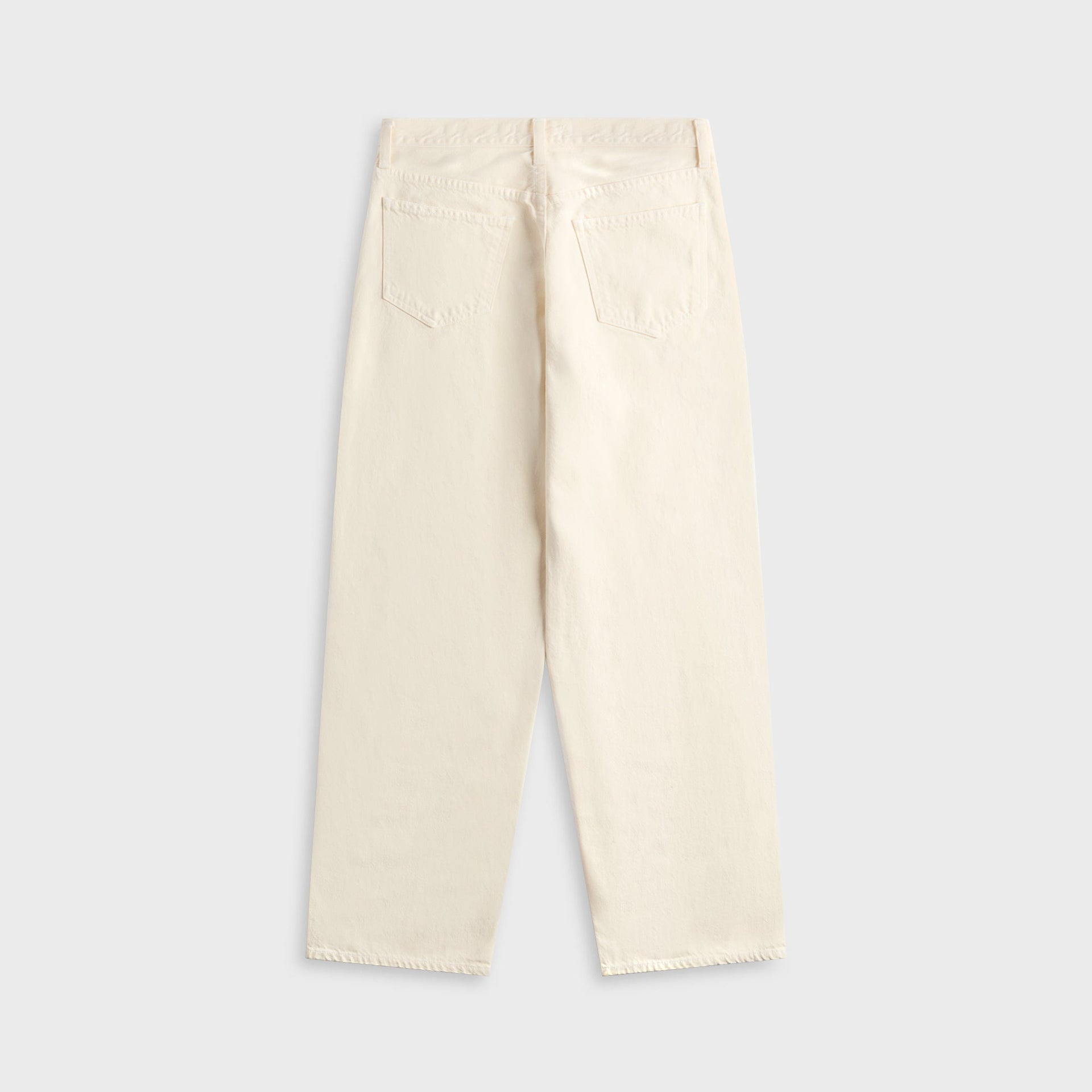 Agolde Low Slung Baggy Jean in Solar