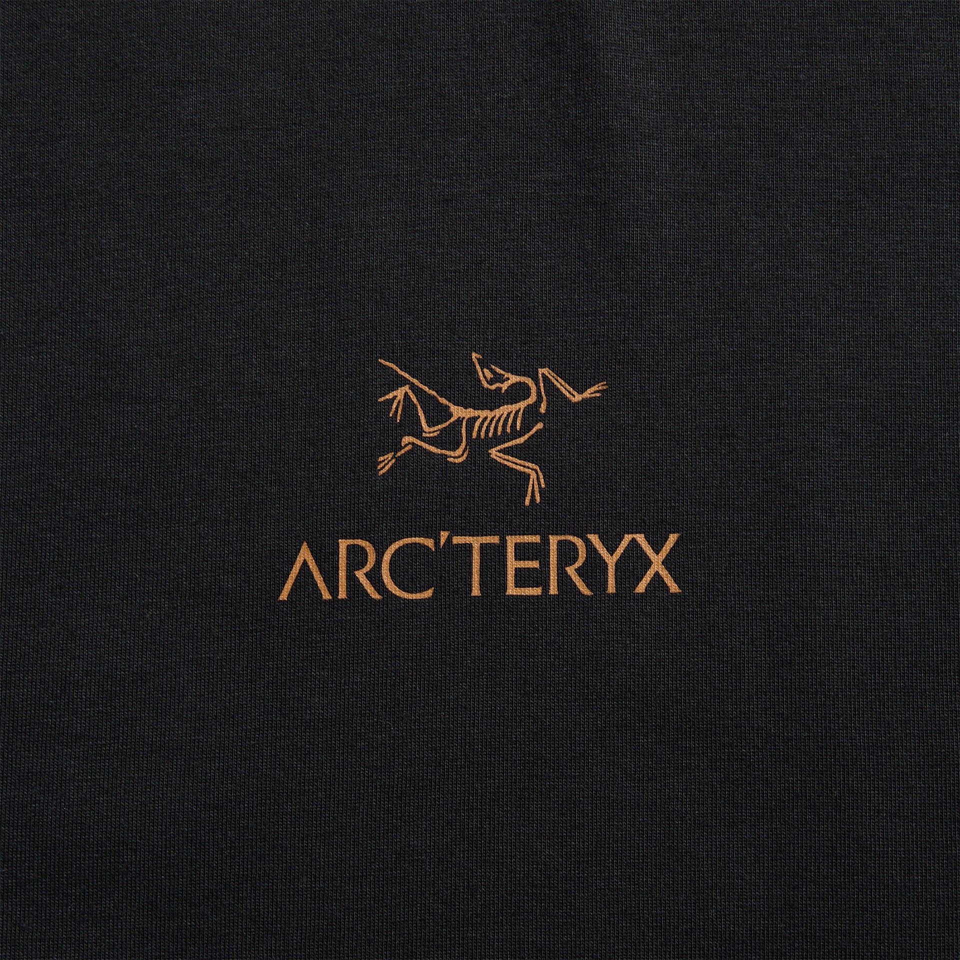 Arc'teryx Kragg SL Cotton Bird Word - 24K Black