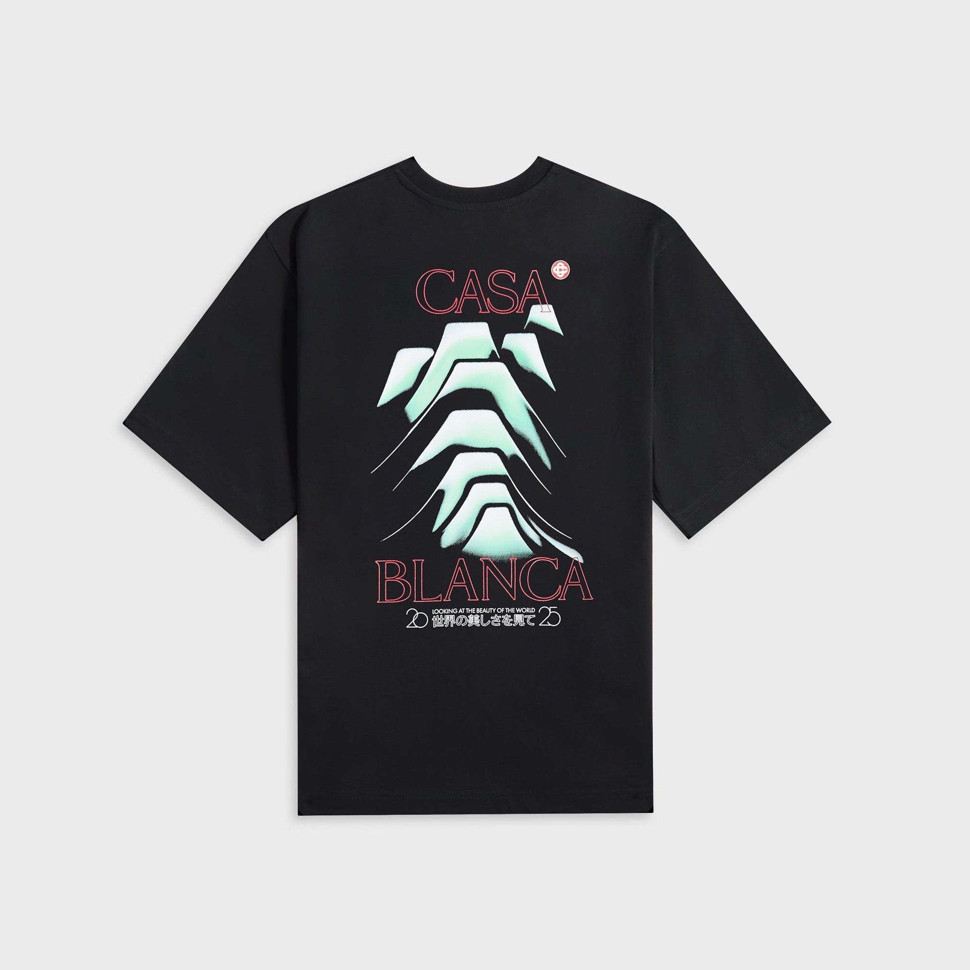 Casablanca Frosty Mountain Screen Printed Oversized Tee in Black