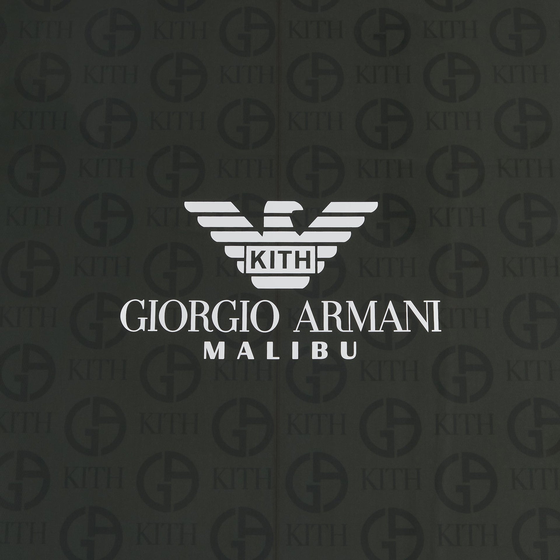 Giorgio Armani & Kith Malibu Surfboard - Multi