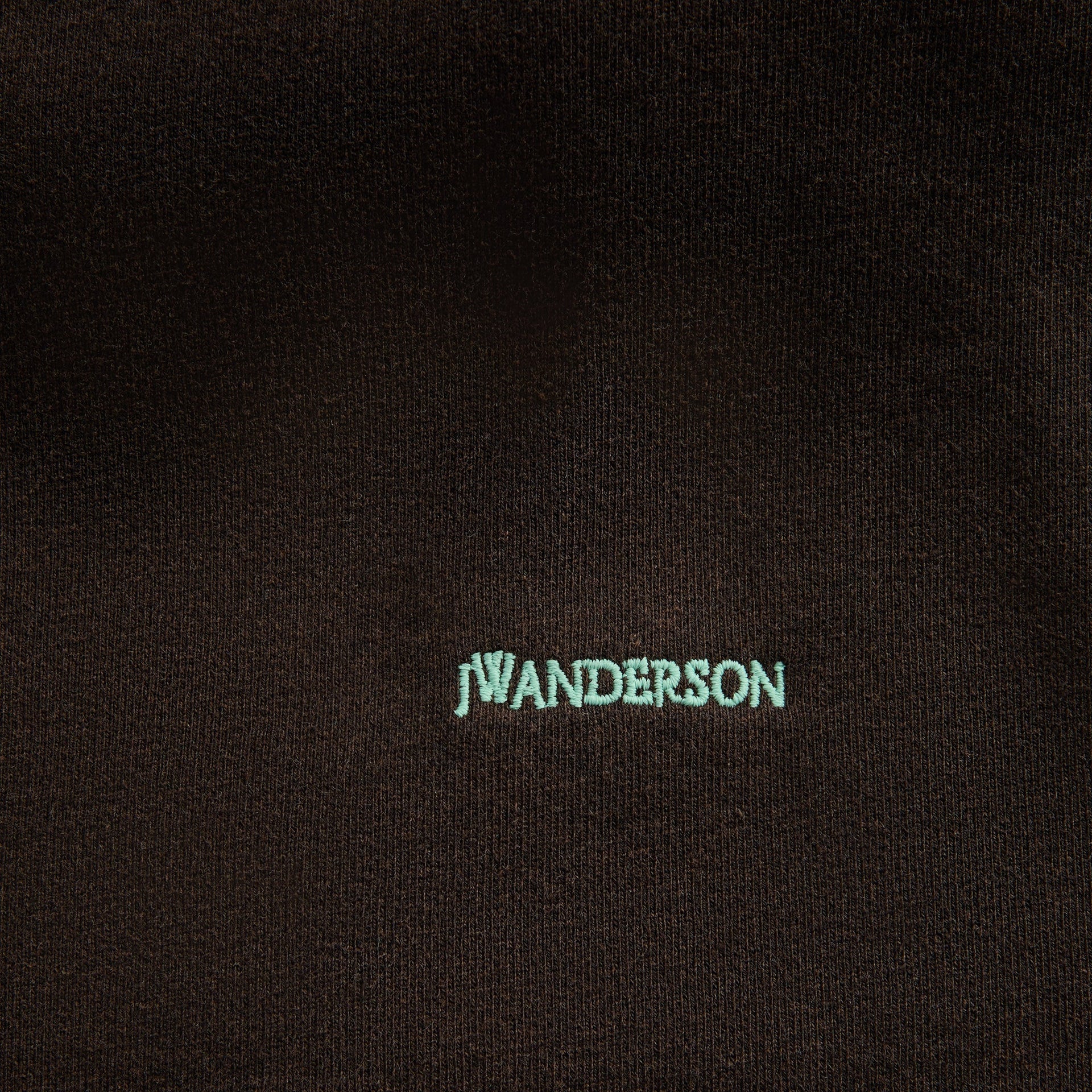 JW Anderson Tied Bow Hoodie in Dark Brown