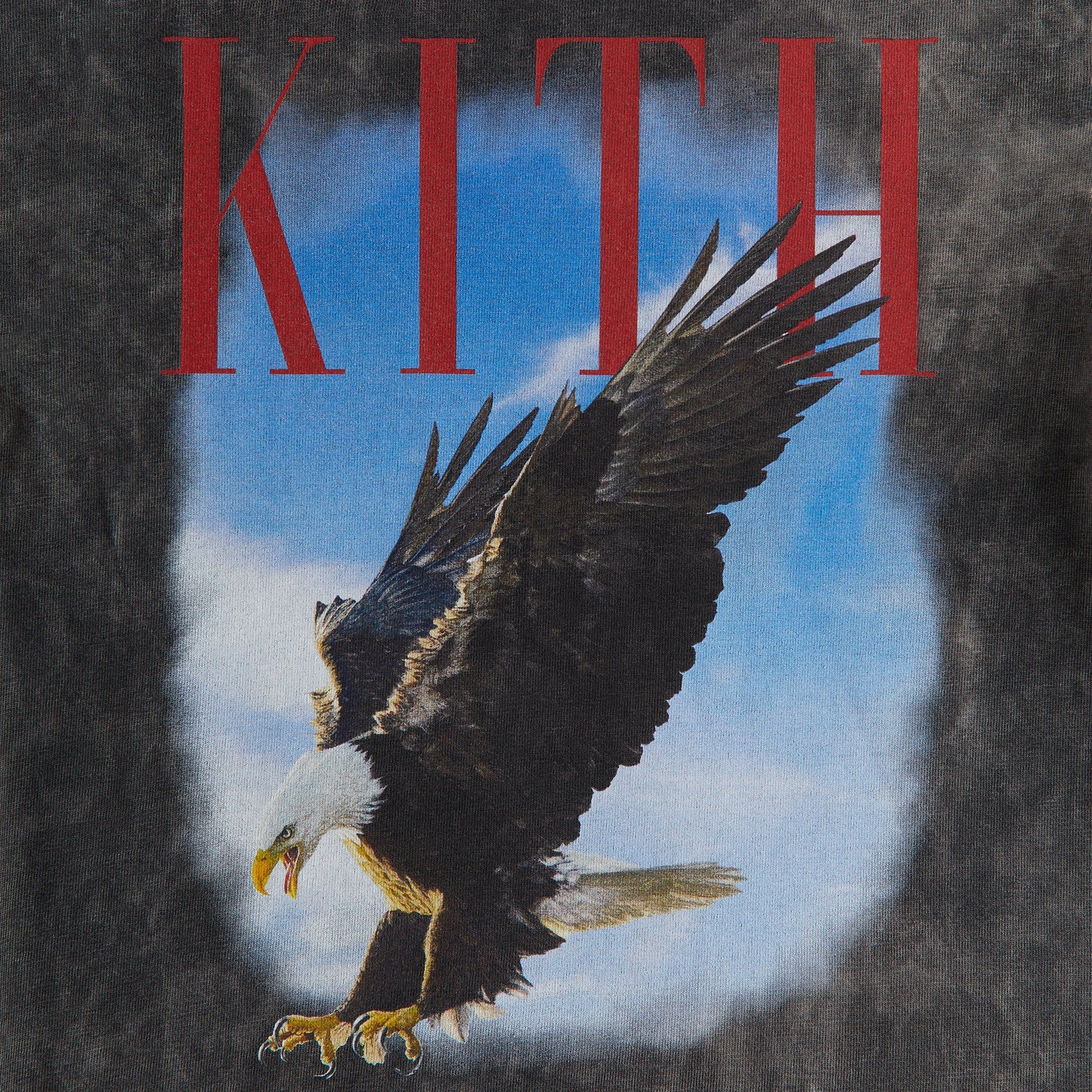 Kith Kids Eagle Vintage Tee - Black