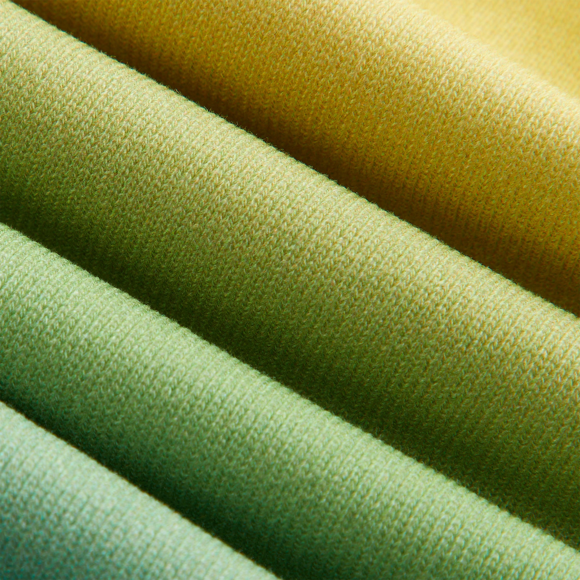 Kith Kids Ombre Liam Short in Parrot