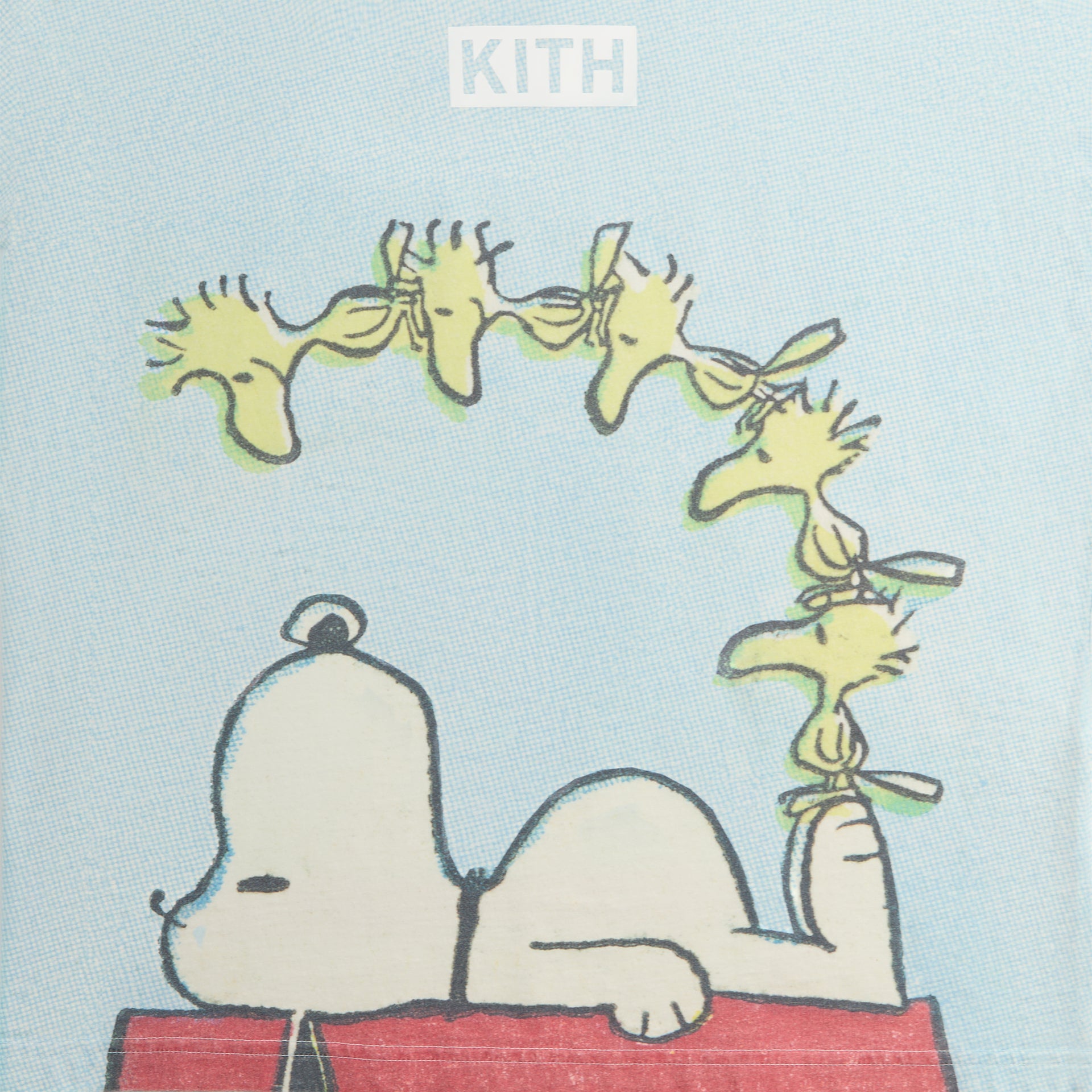 Kith for Peanuts Woodstock Doghouse Comic Vintage Tee - Glisten