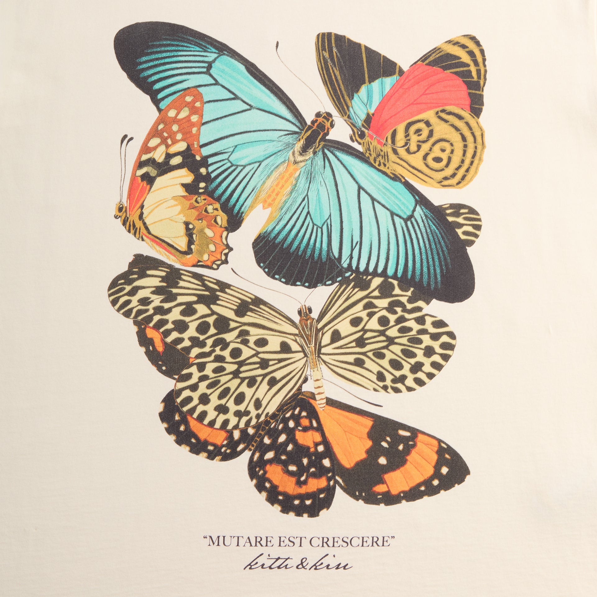 Kith Butterfly Vintage Tee - Sandrift