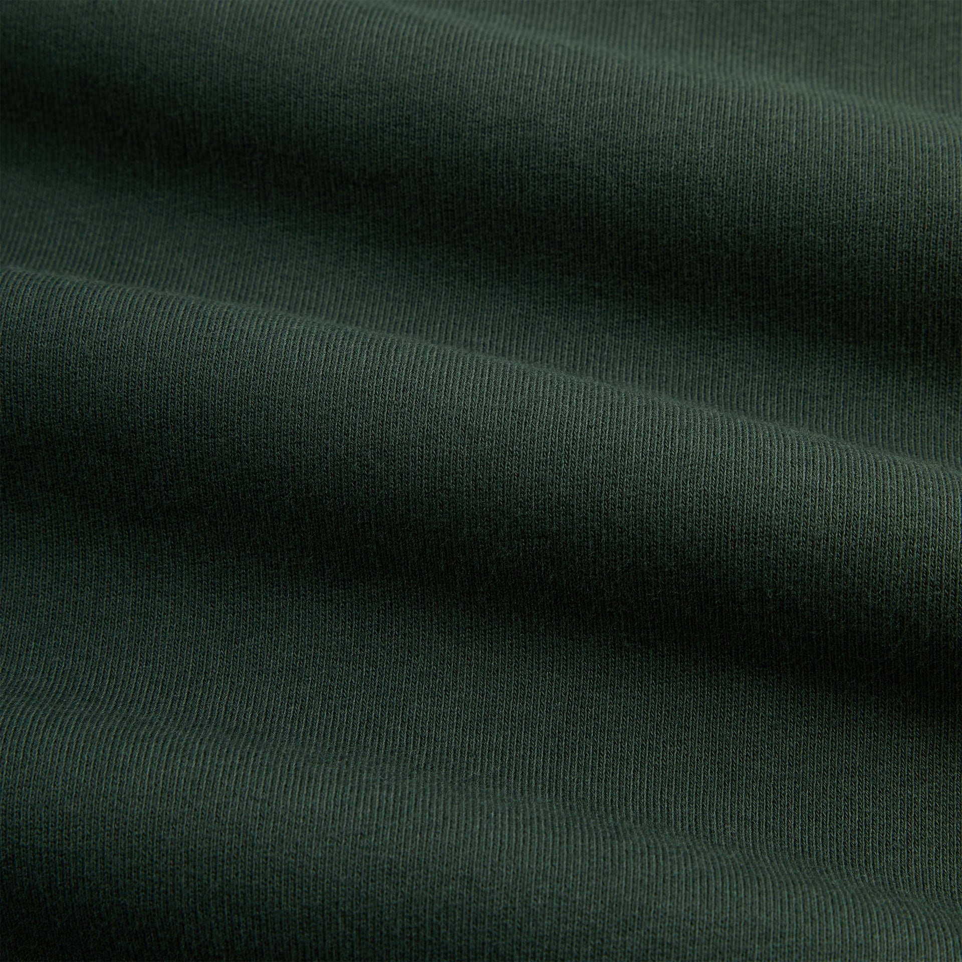 Kith & Kin Crest Gilded Crest Collared Rugby - Stadium