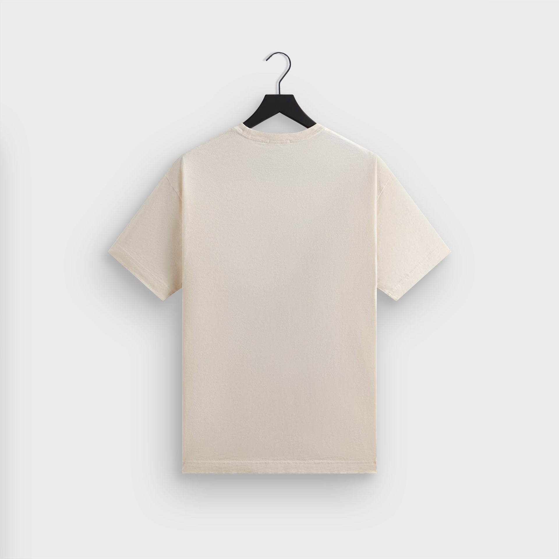 Kith & Kin Queens Unisphere Vintage Tee - Sandrift