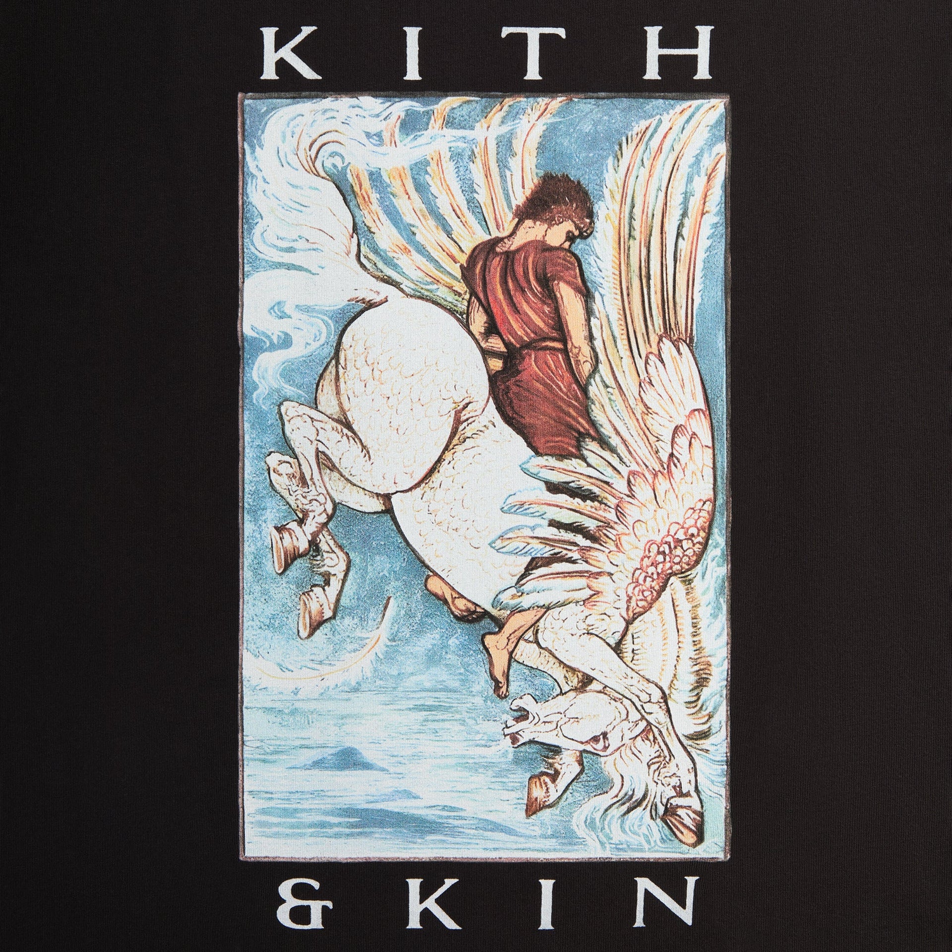 Kith & Kin Pegasus Tee  - Black