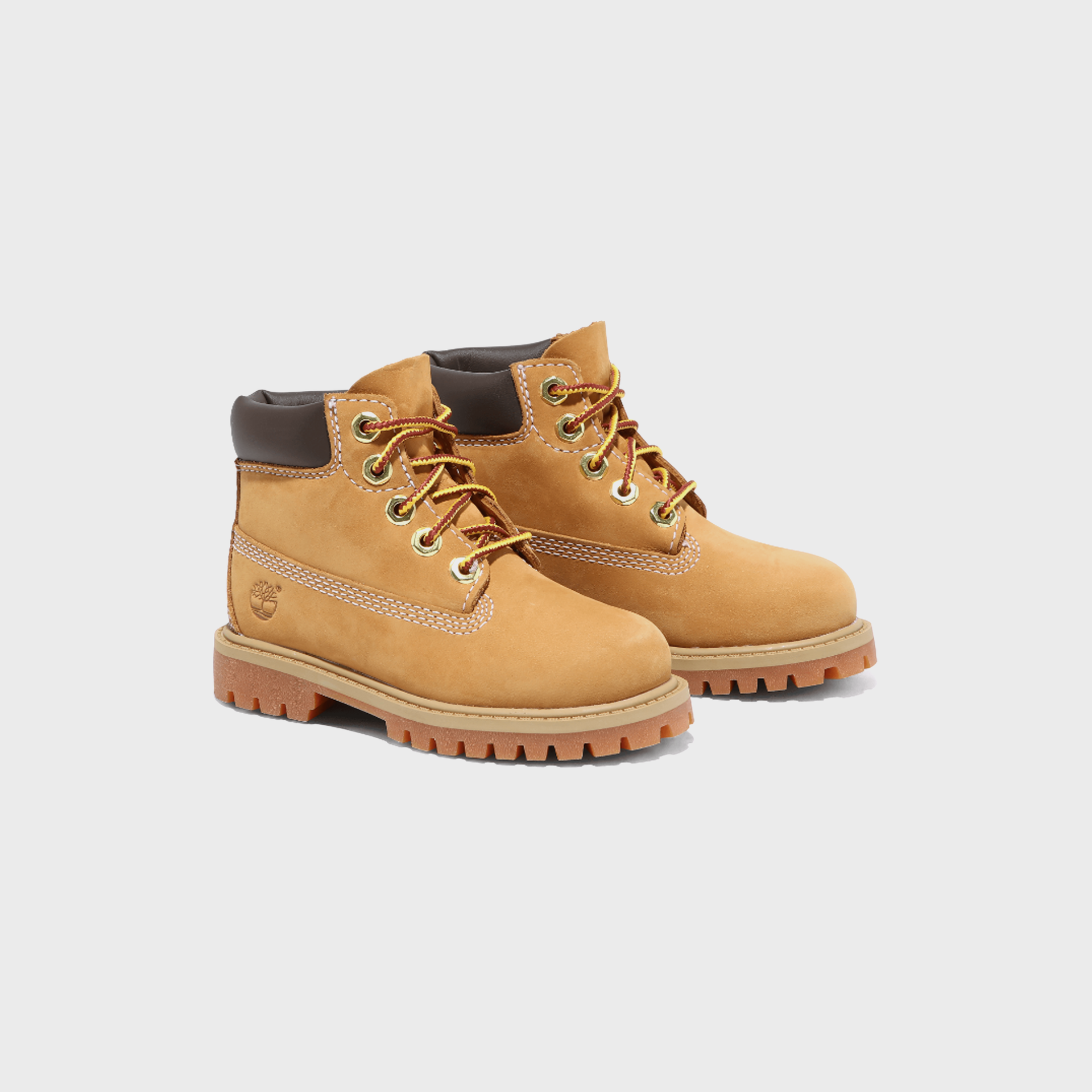 Timberland TD 6" Premium Waterproof Boot - Wheat
