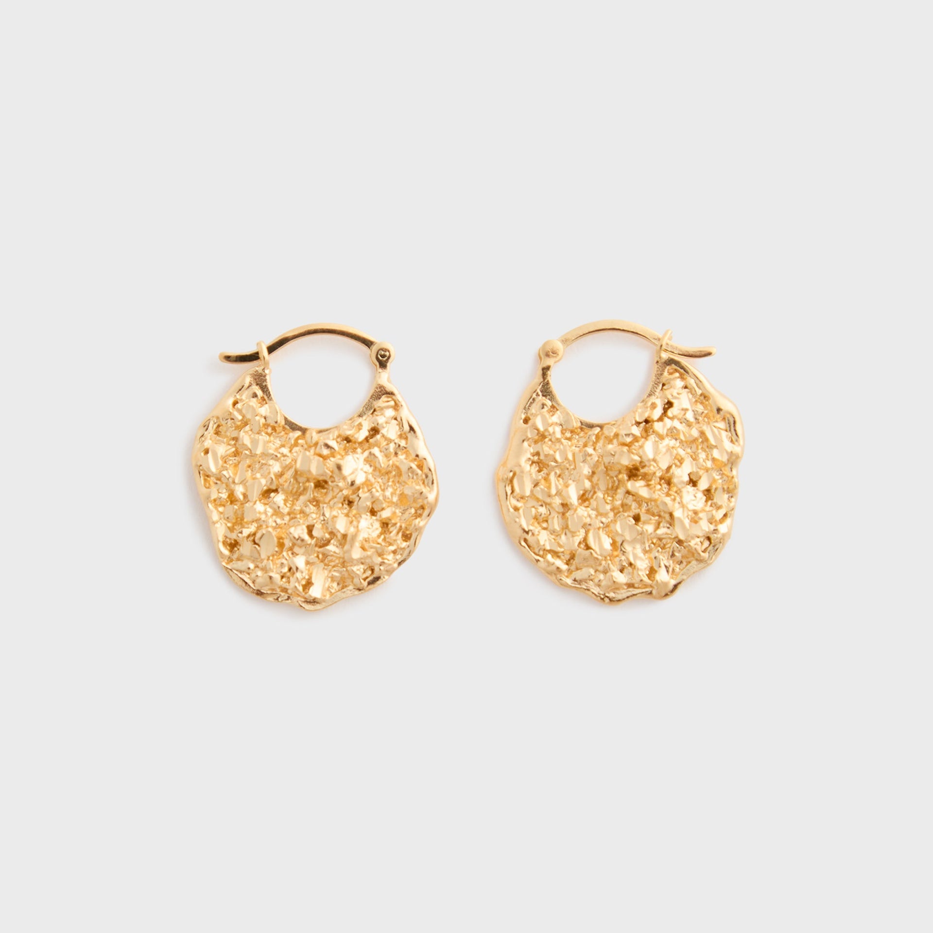 Veneda Carter Vc004 Small Hoop Earring in Gold