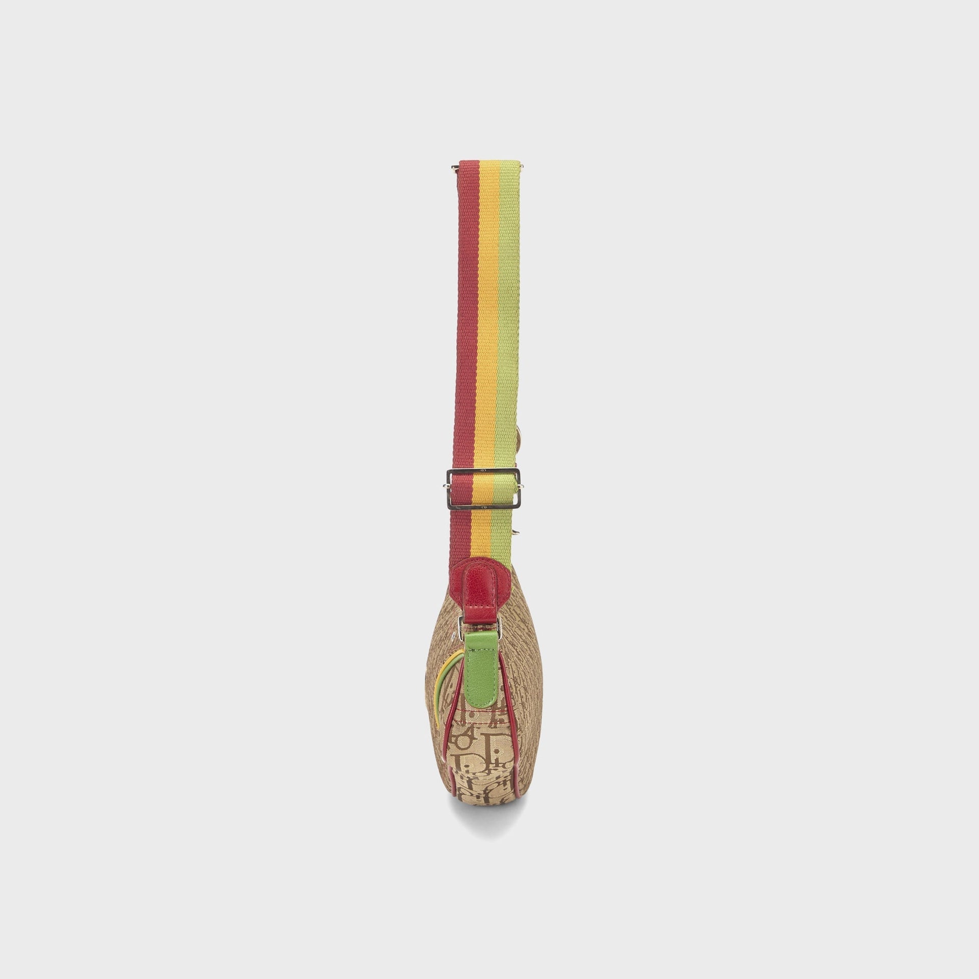 WGACA Dior Canvas Rasta Saddle Pochette in Multi