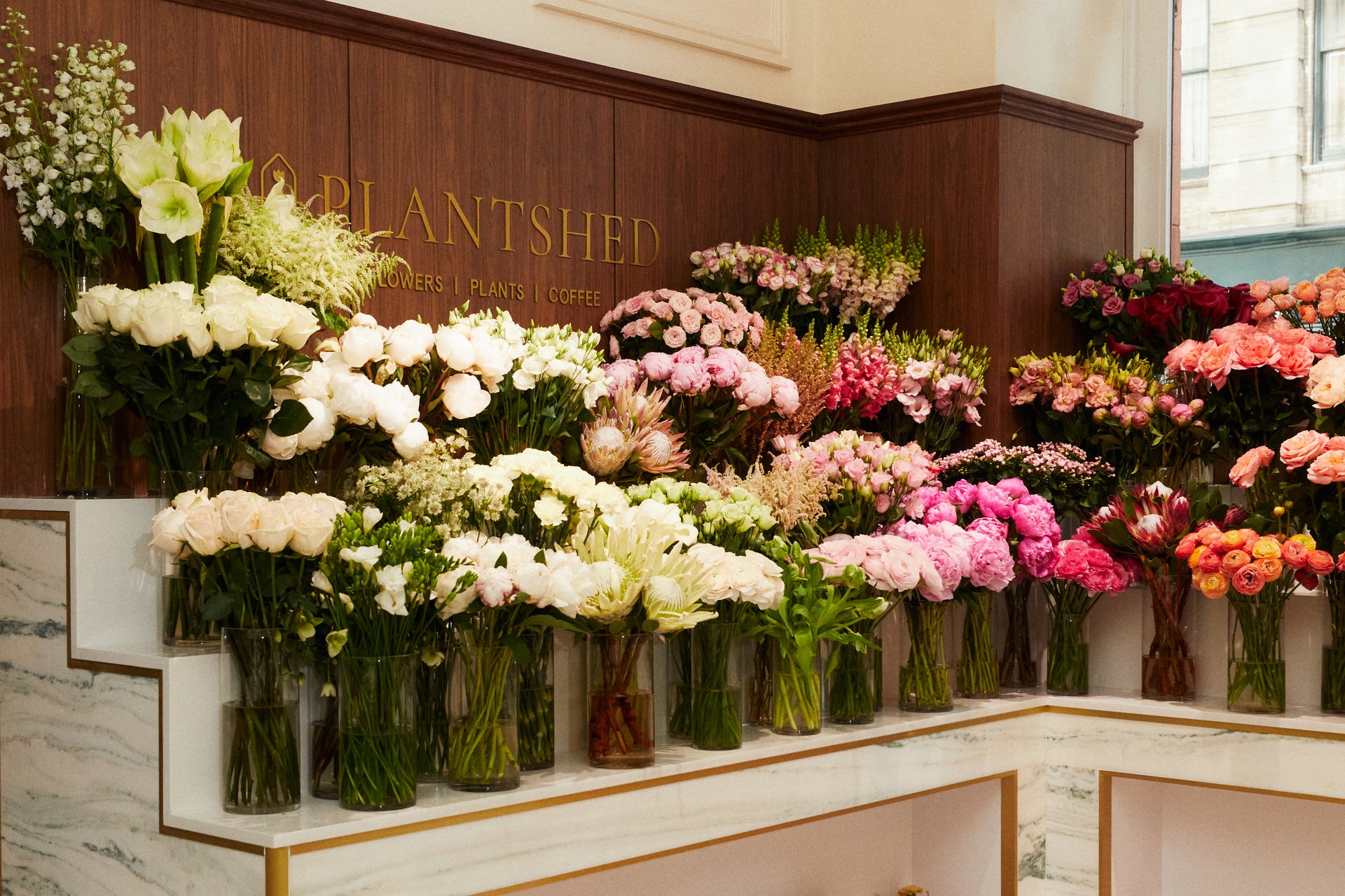 Featured | PlantShed at Kith Women